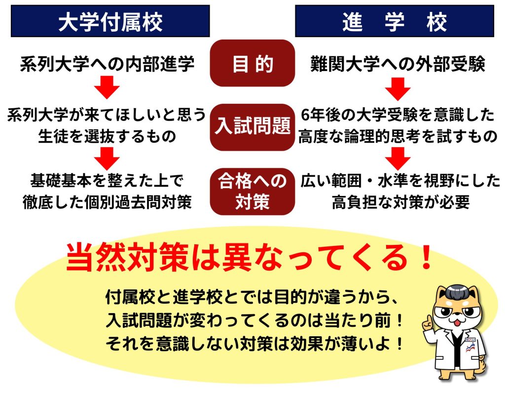 早慶ゼロワン 大学付属校 中学受験 附属稿 早稲田 慶應