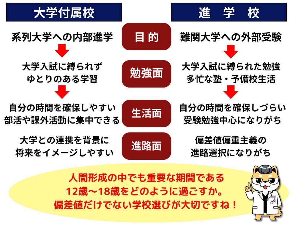 早慶ゼロワン 大学付属校 中学受験 附属稿 早稲田 慶應